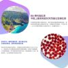 圖片 【樂健飛】鱉蛋粉+蝦紅素(40包/盒)