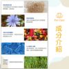 圖片 【好好愛】貓寶專科排毛粉60包(盒)
