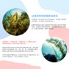 圖片 【樂健飛】寵物超級褐藻潔牙粉180g/罐