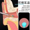 圖片 【bebird 蜂鳥】智能可視掏耳棒M9Pro