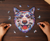 圖片 《獵犬》