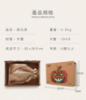 圖片 《南瓜燈》