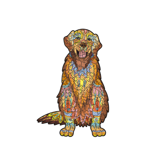 圖片 《黃金獵犬》