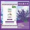 圖片 【台灣現貨】 泰國 蛇牌 🐍 SNAKE BRAND  經典玫瑰 / 薰衣草香 涼感濕紙巾 每包10 抽 涼夏必備🌹🌹🌹