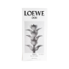 圖片 LOEWE 001 男性淡香水 75ml
