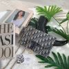 圖片 DIOR Pochette Saddle