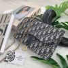 圖片 DIOR Pochette Saddle