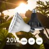 圖片 【CLSC Caudex 城市塊根】N10 Aditya 20W 全光譜LED植物燈