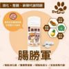 圖片 Dr. Pet｜腸勝軍