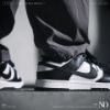 圖片 NICEDAY 現貨 Nike Dunk Low 黑白 熊貓 男女 DD1391 100 / DD1503 101