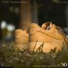 圖片 NICEDAY 現貨 Nike Air Force 1 小麥色 大地色 CJ9179 200