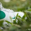 圖片 NICEDAY 現貨 Nike Air Force 1 米白綠 金釦 女款 40週年 DQ7582 101