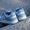 圖片 NICEDAY 代購 Nike WMNS Dunk Low Paisley  變形蟲 藍色 女款 DH4401 101
