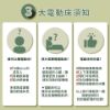 圖片 FB美式電動床-12cm LV記憶床墊-標準雙人5尺