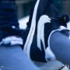 圖片 NICEDAY 現貨 Fragment x Sacai x Nike LDWaffle 閃電藍 藍白 藤原浩 聯名款 DH2684  400