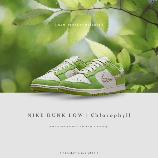 圖片 NICEDAY 預購 Nike Dunk Low 葉綠素 Safari Swoosh DR0156 300