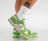 圖片 NICEDAY 預購 Nike Dunk Low 葉綠素 Safari Swoosh DR0156 300
