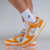 圖片 NICEDAY 代購 Nike Dunk Low 楓葉 Safari Swoosh DR0156 800