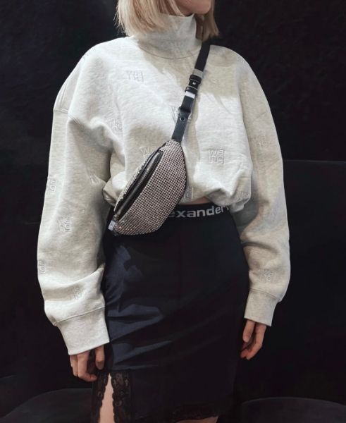 圖片 Alexander Wang Attica 迷你水鑽腰/胸前包 銀色