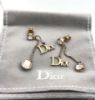 圖片 Dior 迪奧 Logo 18K金水晶 長耳環