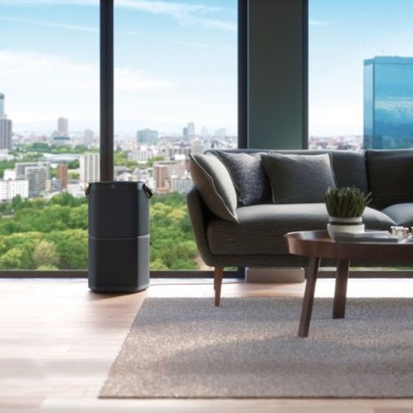 圖片 【ELECTROLUX 伊萊克斯】9-14坪 Pure A9高效能抗菌空氣清淨機 沉穩黑 (PA91-406DG)