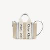 圖片 Chloe’ 蔻依 Woody MINI TOTE 帆布迷你 斜背包/托特包 淺藍色 CHC22AP237I2691K