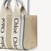 圖片 Chloe’ 蔻依 Woody MINI TOTE 帆布迷你 斜背包/托特包 淺藍色 CHC22AP237I2691K