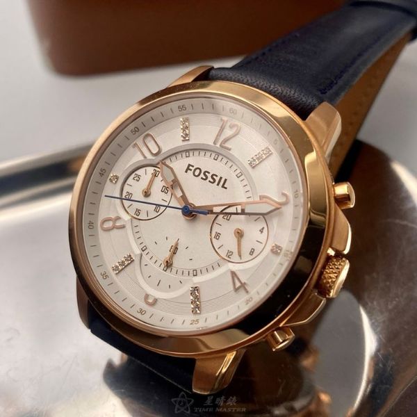 FOSSIL化石-ES4040-1.jpg