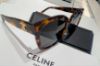 圖片 【現貨】麗睛眼鏡【可刷卡分期】CELINE太陽眼鏡 CL40222F 琥珀 凱旋門logo眼鏡 CELINE經典 凱旋門