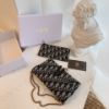 圖片 DIOR Saddle Wallet