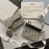 圖片 DIOR Saddle 淺色翻蓋卡片套/零錢包