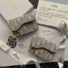 圖片 DIOR Saddle 淺色翻蓋卡片套/零錢包