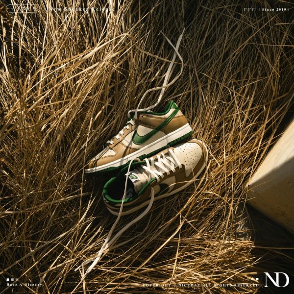 圖片 NICEDAY 現貨 Nike Dunk Low Leaf 落葉 FB7160 231