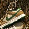 圖片 NICEDAY 現貨 Nike Dunk Low Leaf 落葉 FB7160 231