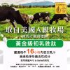 圖片 【A+資優】啟護營養錠(四入組) 2071516-4