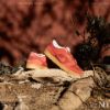 圖片 Niceday 現貨 Nike Dunk Sb Red Gum 石榴紅 卡其底 DV5429-600