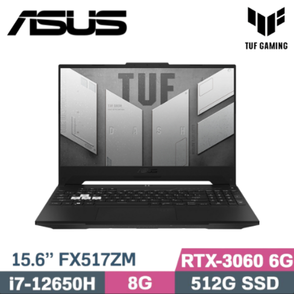 圖片 華碩 ASUS FX517ZM-0051D12650H 黑