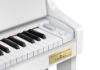 圖片 CASIO GP-310 電鋼琴/三大名琴音色/木質琴鍵/貝希斯坦合作
