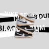 圖片 NICEDAY 代購 Nike SB Dunk Low 黑/白 CD2563-006 101