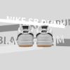 圖片 NICEDAY 代購 Nike SB Dunk Low 黑/白 CD2563-006 101