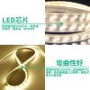 圖片 戶外露營可調式LED燈條