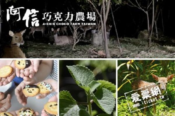 圖片 阿信巧克力農場入園門票＋夜探梅花鹿－兩張一套