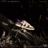 圖片 NICEDAY 現貨  Nike Dunk Low Setsubun 魔神 DQ5009-268