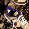 圖片 NICEDAY 現貨  Nike Dunk Low Setsubun 魔神 DQ5009-268