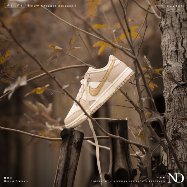 圖片 NICEDAY 現貨 Nike Dunk Low 奶茶 金粉 金勾 DX5930 001