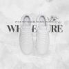 圖片 NICEDAY 現貨 Nike Dunk Low white pure  雲霧白 白灰 男女 DV0831-101