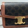 圖片 Celine Teen Triomphe Bag