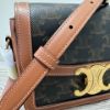 圖片 Celine Teen Triomphe Bag