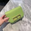 圖片 Delvaux 小款 Olen Calf 天鵝絨般小牛皮 Lingot 包 蘆薈