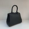 圖片 Delvaux 顆粒紋小牛皮 Rodeo Mini Brillant 包 黑色